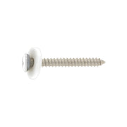 Fensterbankschrauben Edelstahl weiß RAL 9003 3,9 x 19 mm mit Kreuzschlitz