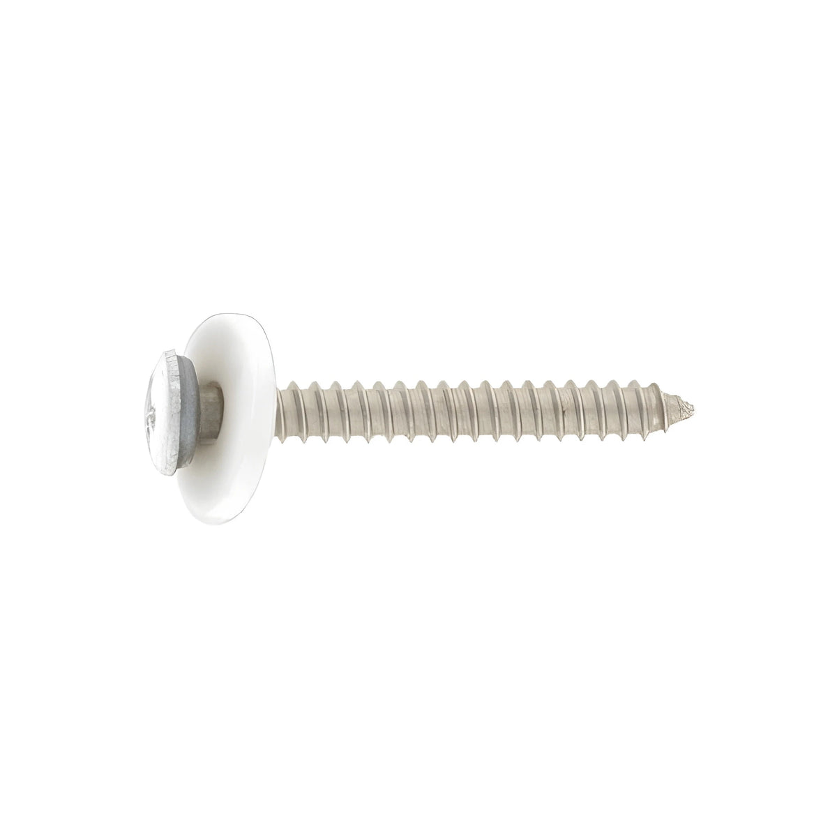 Fensterbankschrauben Edelstahl weiß RAL 9003 3,9 x 19 mm mit Kreuzschlitz