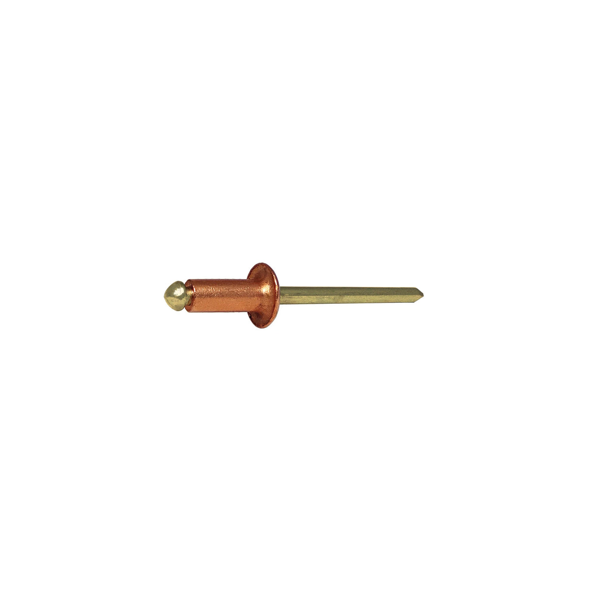 Blindniete Kupfer/Bronze 3,2 x 6,0 mm