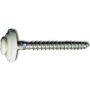 EDELSTAHL Spenglerschraube 4,5 x 35 mm TX 20 lackiert weiß RAL 9010